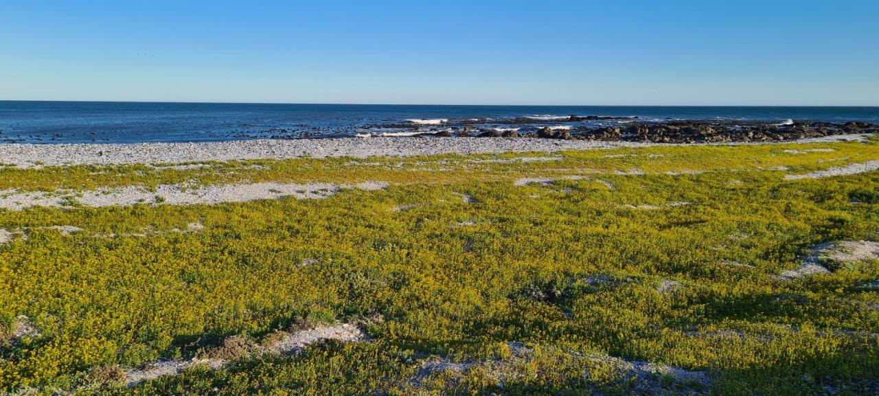 Oystercatcher Villa Сент-Хелина-Бей Экстерьер фото